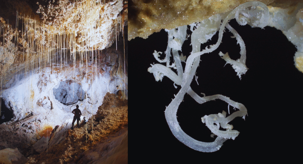 Carlsbad Caverns, New Mexico