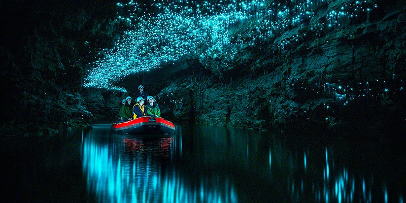 Waitomo Caves
