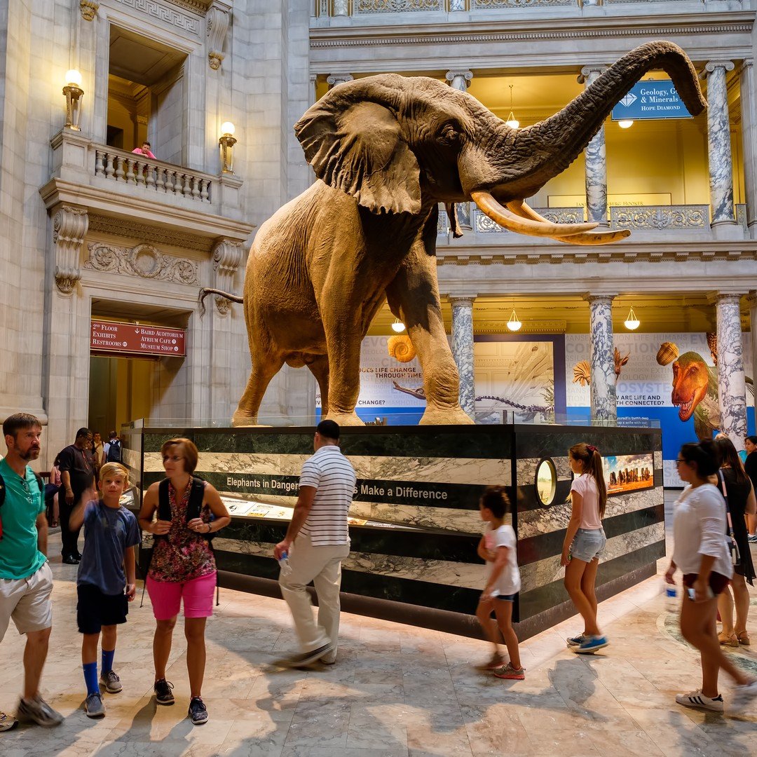 Washington DC Museum