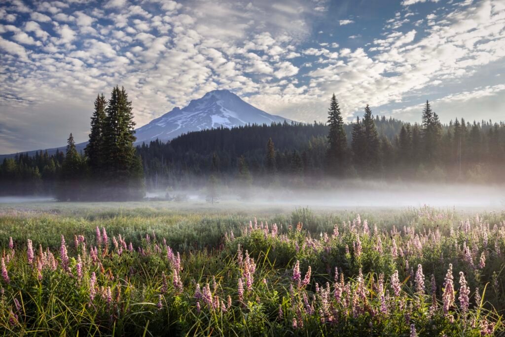 Mount Hood
