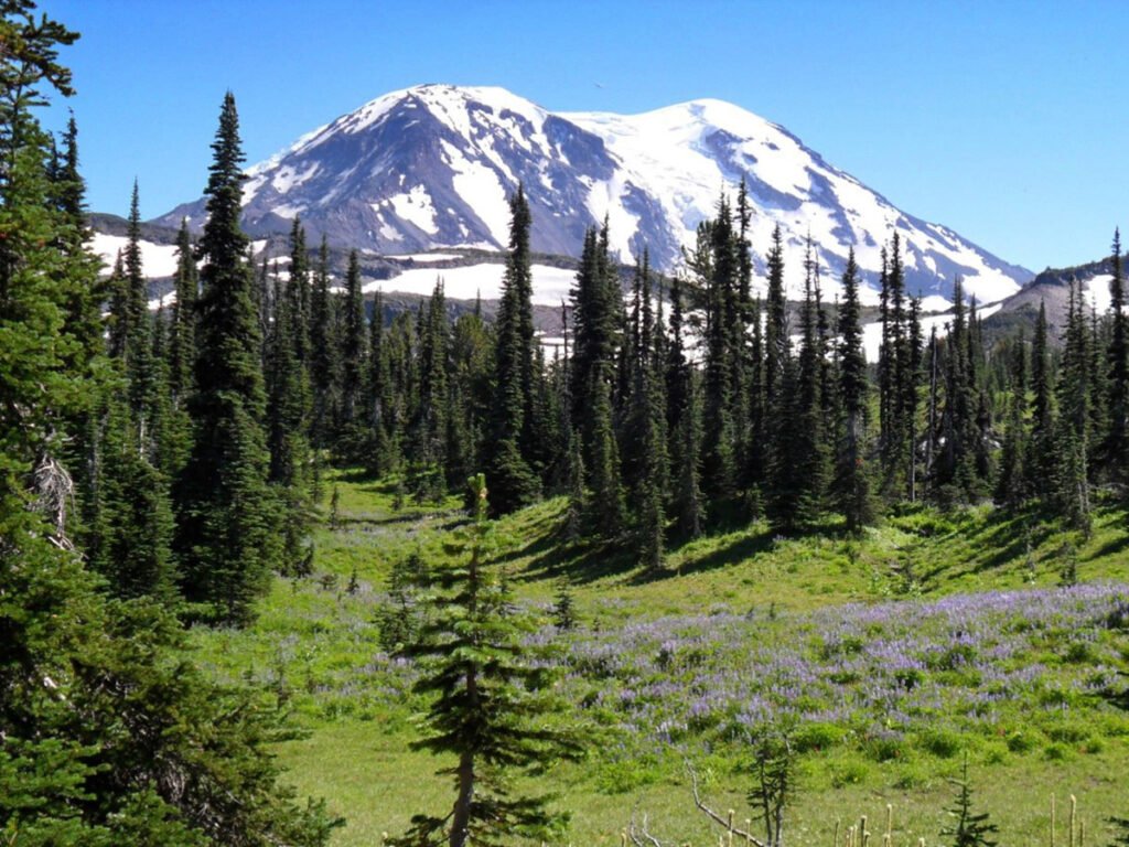 Mount Adams, Washington