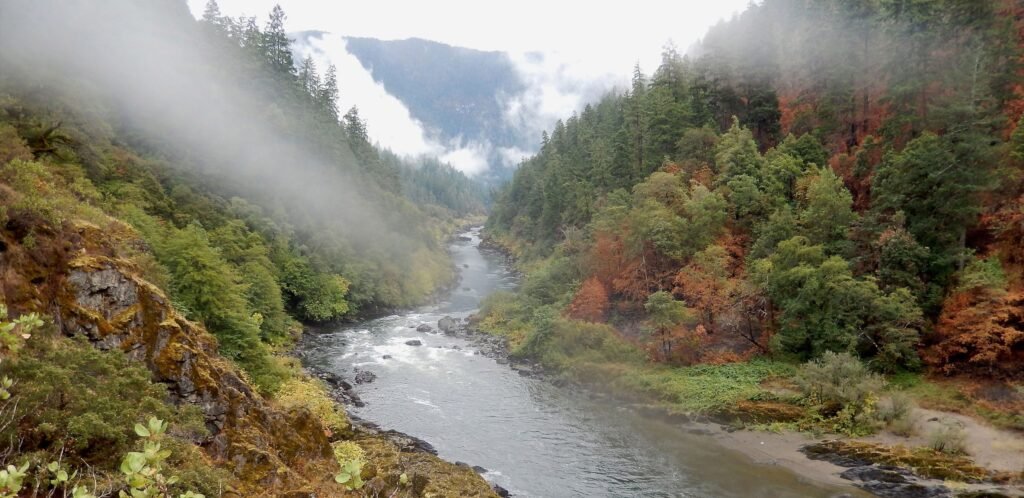 rogue river