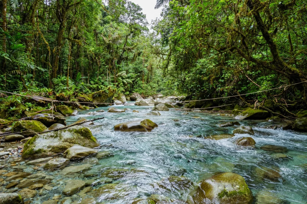 Crystal clear river water flowing over smooth rocks at a Buritaca River crossing on the Lost City trek in Colombia